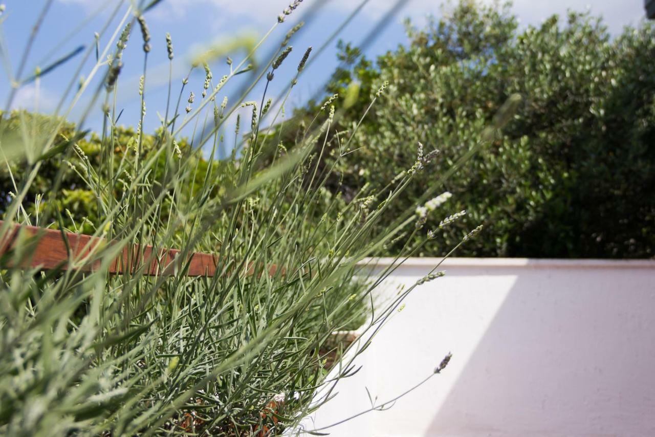 Holiday Home Laurea Supetar Dış mekan fotoğraf
